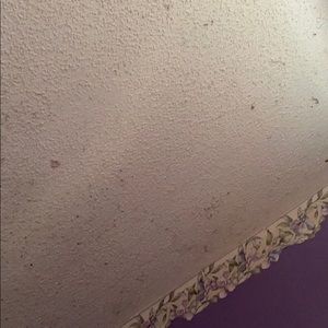 Meet your Posher, Krashenda